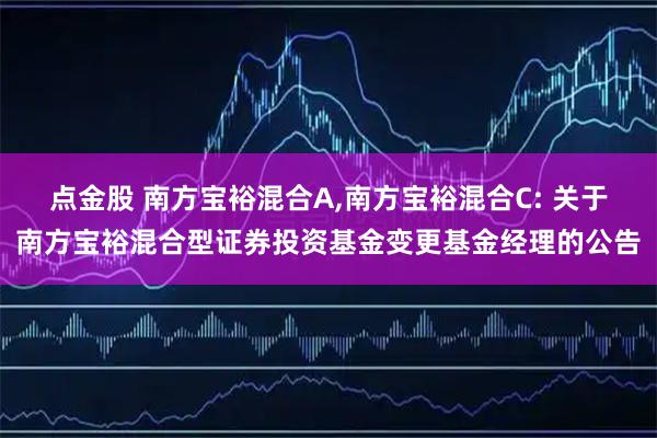 点金股 南方宝裕混合A,南方宝裕混合C: 关于南方宝裕混合型证券投资基金变更基金经理的公告
