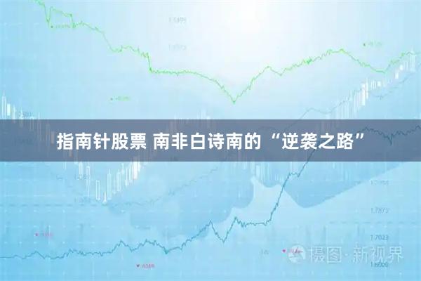 指南针股票 南非白诗南的 “逆袭之路”