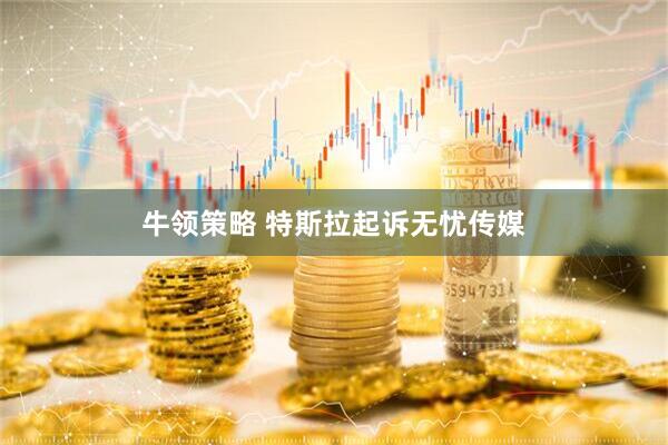 牛领策略 特斯拉起诉无忧传媒
