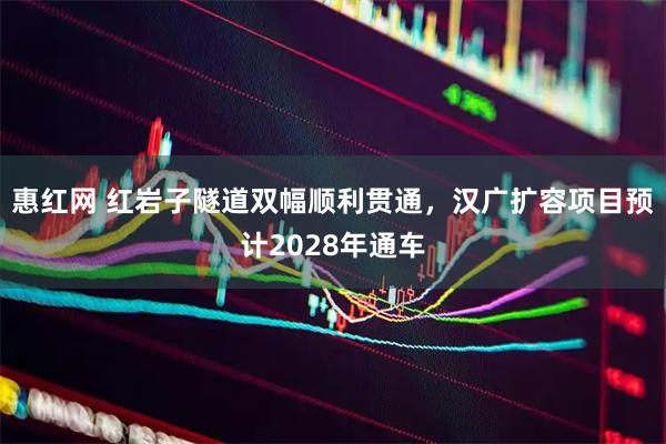 惠红网 红岩子隧道双幅顺利贯通，汉广扩容项目预计2028年通车
